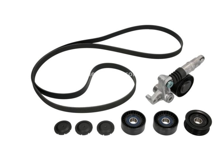 Set curea transmisie INA - cu role , întinzător - pentru: AUDI A4 B7, A6 ALLROAD C6, A6 C6, A8 D3, Q7 2.7D/3.0D 08.03-08.15