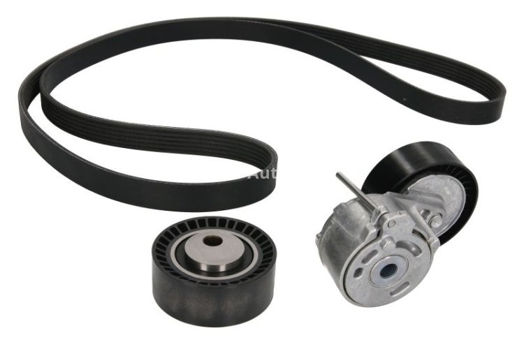 Set curea transmisie INA - cu role , întinzător - pentru: CITROEN BERLINGO, BERLINGO/MINIVAN, C8, EVASION, JUMPY I, XSARA, XSARA PICASSO, XSARA/HATCHBACK; FIAT SCUDO, ULYSSE; LANCIA PHEDRA, ZETA; PEUGEOT 206 2.0D 06.98-