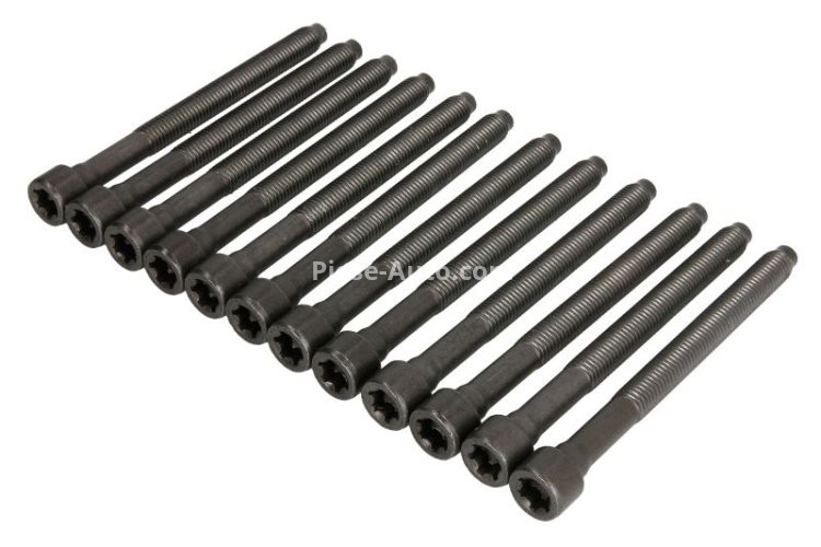 Set șuruburi / prezoane chiulasă - ELRING - pentru:  AUDI A3, TT; VW JETTA III, IV, NEW BEETLE 2.5 07.05-