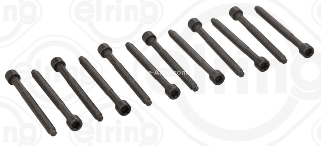 Set șuruburi / prezoane chiulasă - ELRING - pentru:  AUDI A3, TT; VW JETTA III, IV, NEW BEETLE 2.5 07.05-