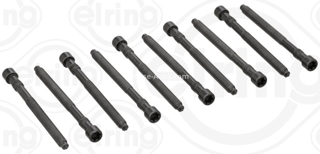 Set șuruburi / prezoane chiulasă - ELRING - pentru:  AUDI A4, A6; VW PASSAT 2.0 11.00-06.08