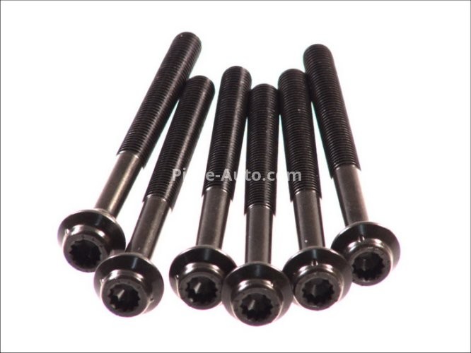 Set șuruburi / prezoane chiulasă - ELRING - pentru:  MERCEDES E (W124, W210), G (W463), S (W140) 3.0D 06.93-