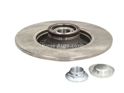 Disc frână spate ABE  (cu inel ABS) pentru: CITROEN C3 AIRCROSS I, C3 AIRCROSS II, C3 II, C3 III, C3 PICASSO, C4, C4 CACTUS, C4 I, C4 II, C4 PICASSO I, DS3 1.2-2.0D 08.00-