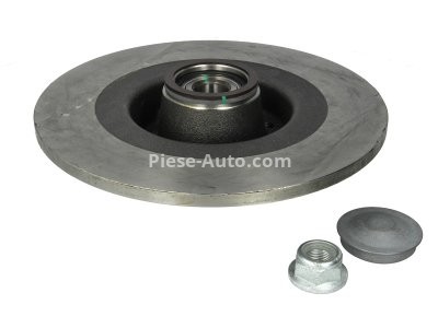 Disc frână ATE, spate, cu rulment (cu inel ABS) pentru: MITSUBISHI OUTLANDER I, OUTLANDER II; RENAULT GRAND SCENIC II, MEGANE II, MEGANE II/KOMBI, SCENIC II 1.4-2.4 09.02-11.12