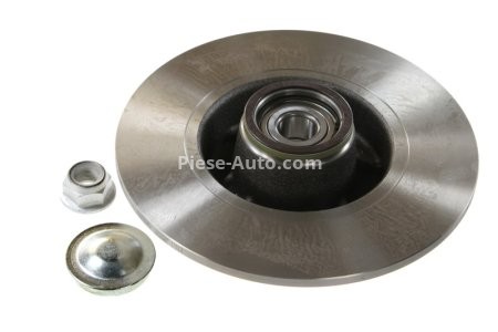 Disc frână DELPHI, cu rulment, spate, pentru: DACIA SANDERO II; NISSAN NOTE; RENAULT CLIO II, CLIO III, CLIO III/HATCHBACK, MEGANE, MEGANE I, MEGANE I COACH 0.9-2.0D 03.99-