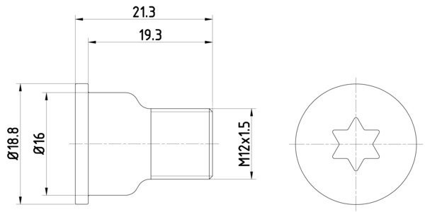 Șurubul de fixare a discului de frana Spate (M12x1,5x21,3 2 bucati in pachet) pentru: MERCEDES G (W463); AUDI A8 D4, Q7; BENTLEY MULSANNE; PORSCHE CAYENNE; VW TOUAREG 2.0-6.8 09.89-