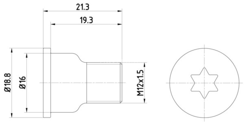Șurubul de fixare a discului de frana Spate (M12x1,5x21,3 2 bucati in pachet) pentru: MERCEDES G (W463); AUDI A8 D4, Q7; BENTLEY MULSANNE; PORSCHE CAYENNE; VW TOUAREG 2.0-6.8 09.89-